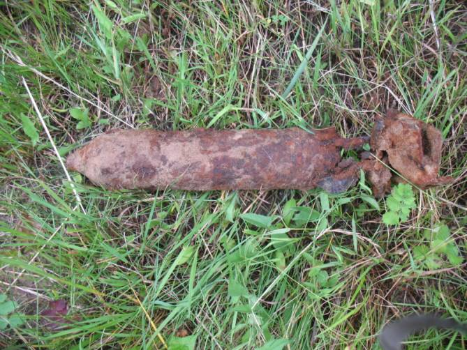 В лесу возле брянского села Майский Жук нашли минометную мину