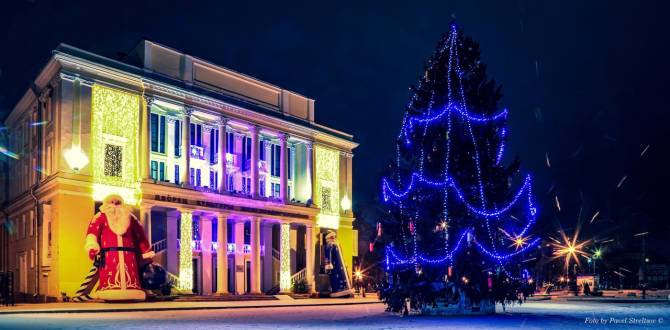 В Фокинском районе Брянска установят 5 новогодних елок