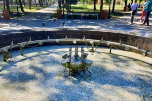 В Брянске очистили от мусора новый фонтан в парке «Юность»