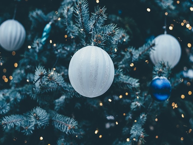 В Фокинском районе Брянска за вознаграждение разыскивают новогоднюю елку