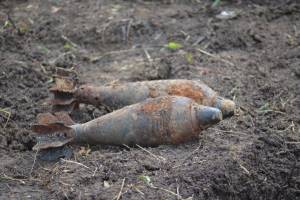 В лесу под Сельцо нашли мины времён войны