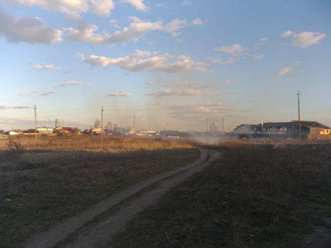В Брянске заметили очередное возгорание сухой травы