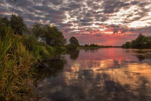 На реке Ипуть в Новозыбковском районе утонул 20-летний парень