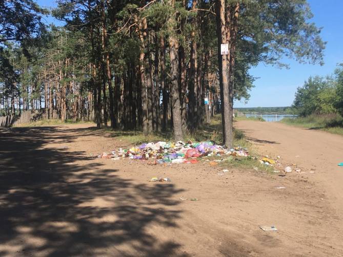 Жителей Брянска пригласили очистить от мусора Орлик