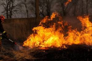 МЧС предупредило брянцев о чрезвычайной пожароопасности с 4 сентября