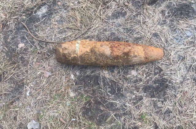 Под Брянском возле поселка Свень нашли артиллерийский снаряд