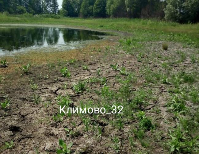 В Климовском районе «Озеро любви» превратилось в лужу