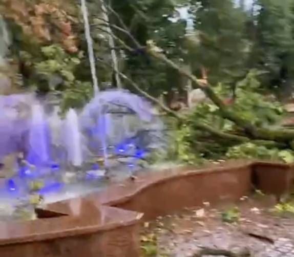 В Брянске рухнуло дерево в фонтан Круглого сквера