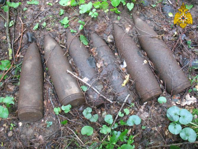 У родного села брянского лыжника Большунова нашли склад боеприпасов
