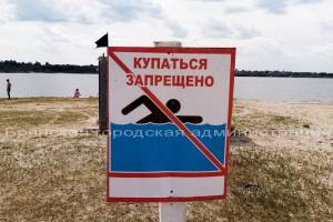 В Брянске запретили купание в озере Орлик-5