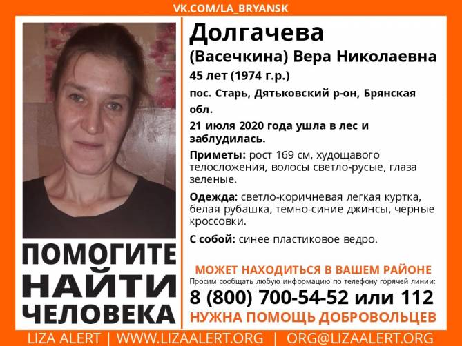 В Брянской области ищут заблудившуюся в лесу 45-летнюю женщину