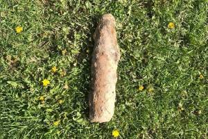 В Навлинском районе нашли артиллерийский снаряд