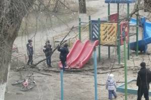 В Брянске сухие ветки рухнули на детскую площадку