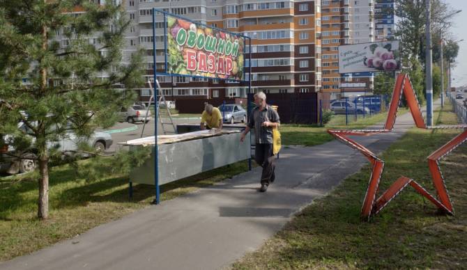 В Брянске на въезде в Володарку появится овощной базар