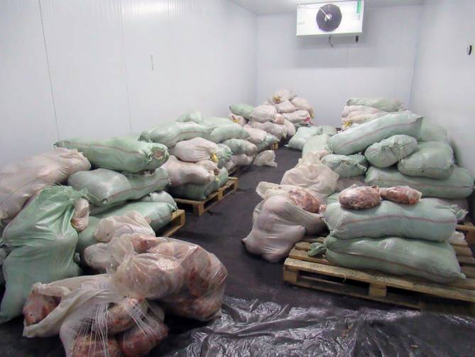 Брянские таможенники задержали 6 тонн контрабандного мяса