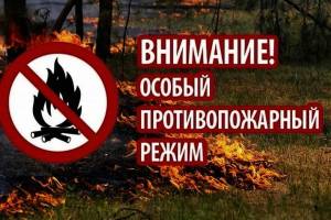 В Брянской области ввели особый противопожарный режим