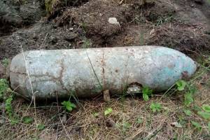Вблизи деревни Тростная обезвредили 100-килограммовую авиационную бомбу
