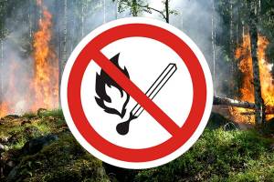 В Брянской области с 8 июля вводится особый противопожарный режим