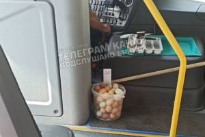 В брянском автобусе заметили водителя с яйцами