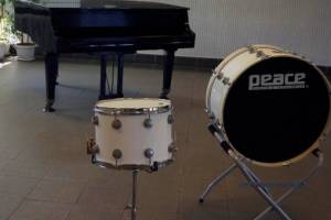 В Брянской области 9 школ искусств получили барабаны