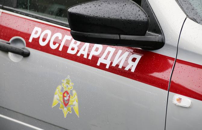 В Брянске росгвардейцы задержали с поличным 26-летнюю грабительницу