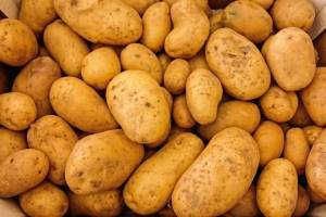 Цену брянского картофеля пообещали снизить на 10%