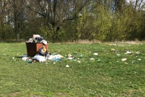 В Клинцах от чиновников потребовали очистить от мусора пляж Стодольского озера