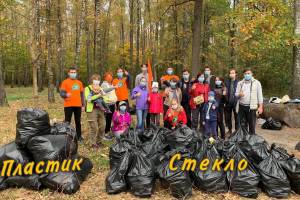В Брянске очистили от мусора лес «Заставище