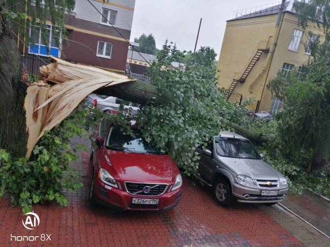 В Брянске на улице Софьи Перовской дерево рухнуло на припаркованные автомобили