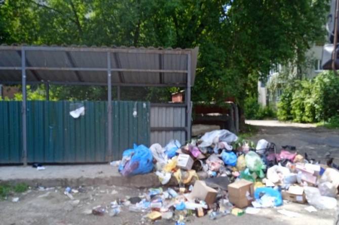 В Брянске жители улицы Спартаковской устроили свалку рядом с контейнерной площадкой