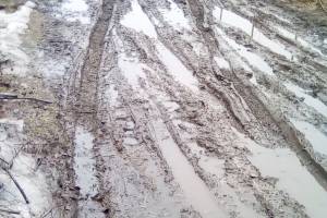 Брянский поселок Толмачево утонул в грязи