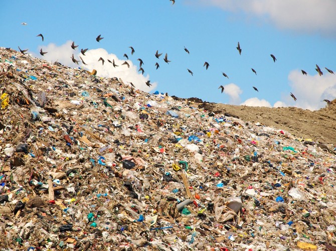 Жители брянского села погрязли в мусоре