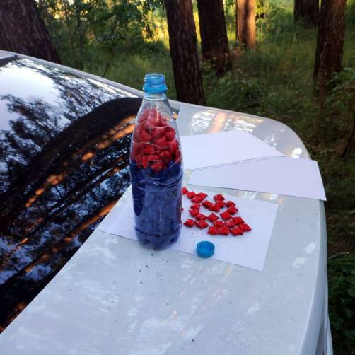 В Брянске 26-летний наркосбытчик закопал в лесу бутылку с метадоном и гашишем