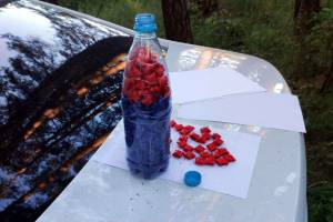 В Брянске 26-летний наркосбытчик закопал в лесу бутылку с метадоном и гашишем