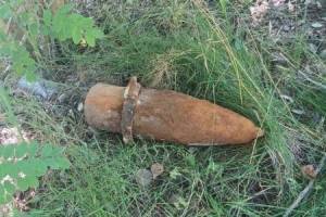 В лесу у брянского села Мирный нашли 25-килограммовую авиабомбу