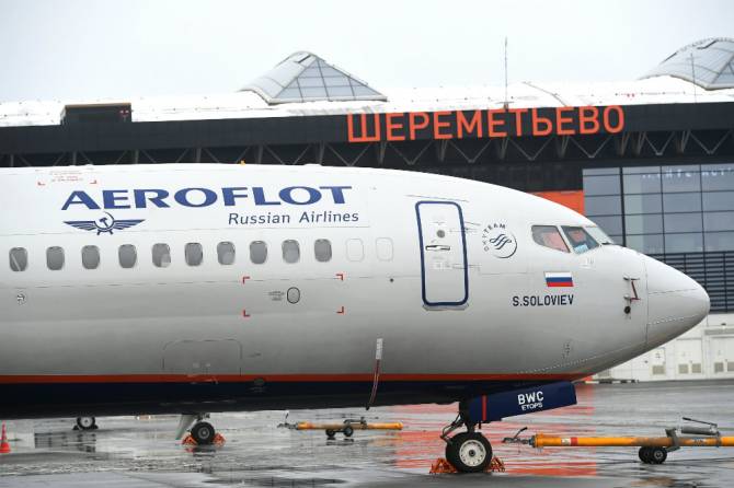 Прокуратура не нашла нарушений при перевозке брянской собаки на рейсе «Аэрофлота»