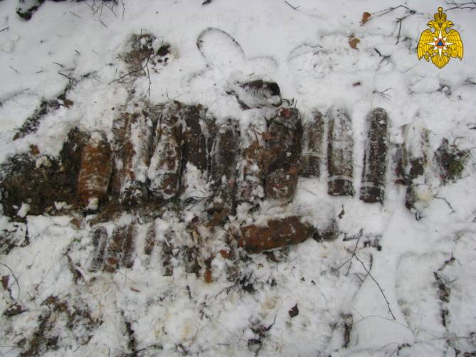 Под Брасово нашли 33 артиллерийских снаряда
