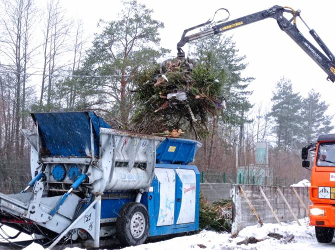В Брянске «Чистая планета» переработала 5 тысяч новогодних елок