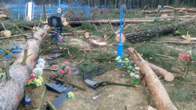 На кладбище под Климово спиленные деревья разворотили могилы