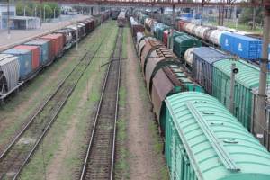 С начала года на Брянщине железнодорожники погрузили 42 тысячи тонн зерна
