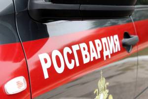 В Брянске росгвардейцы задержали 27-летнего магазинного вора