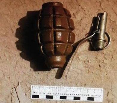 В Брянске во дворе многоэтажки на Фосфоритной нашли муляж гранат