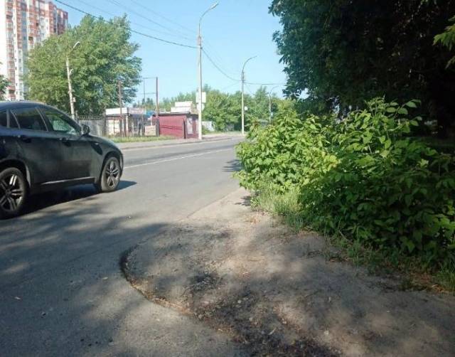 В Брянске на улице Спартаковской заметили опасные для водителей кусты
