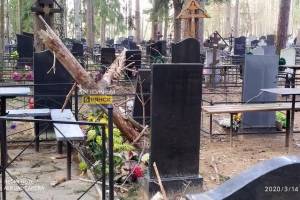 В Брянске на кладбище поваленные деревья сломали ограды