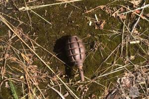 В Почепском районе у посёлка Доманичи нашли гранату