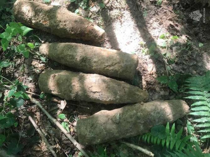 В лесу в Дубровском районе нашли четыре артиллерийских снаряда