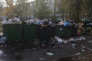 В Брянске на улице Орловской двор превратился в свалку