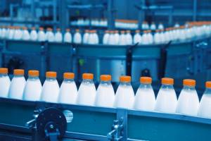 В Брянске назвали производителей поддельной молочной продукции