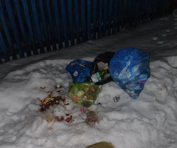 В Жуковке к зловонным свалкам не смогли подъехать мусоровозы