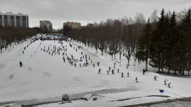 В Брянске по мокрому таящему снегу прошла «Лыжня России»